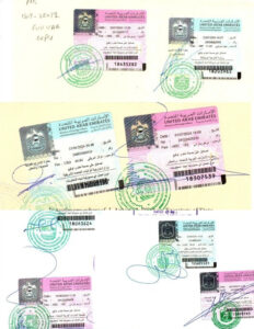 Translating Educational Certificates for MOFA Attestation: A Step-by-Step Guide